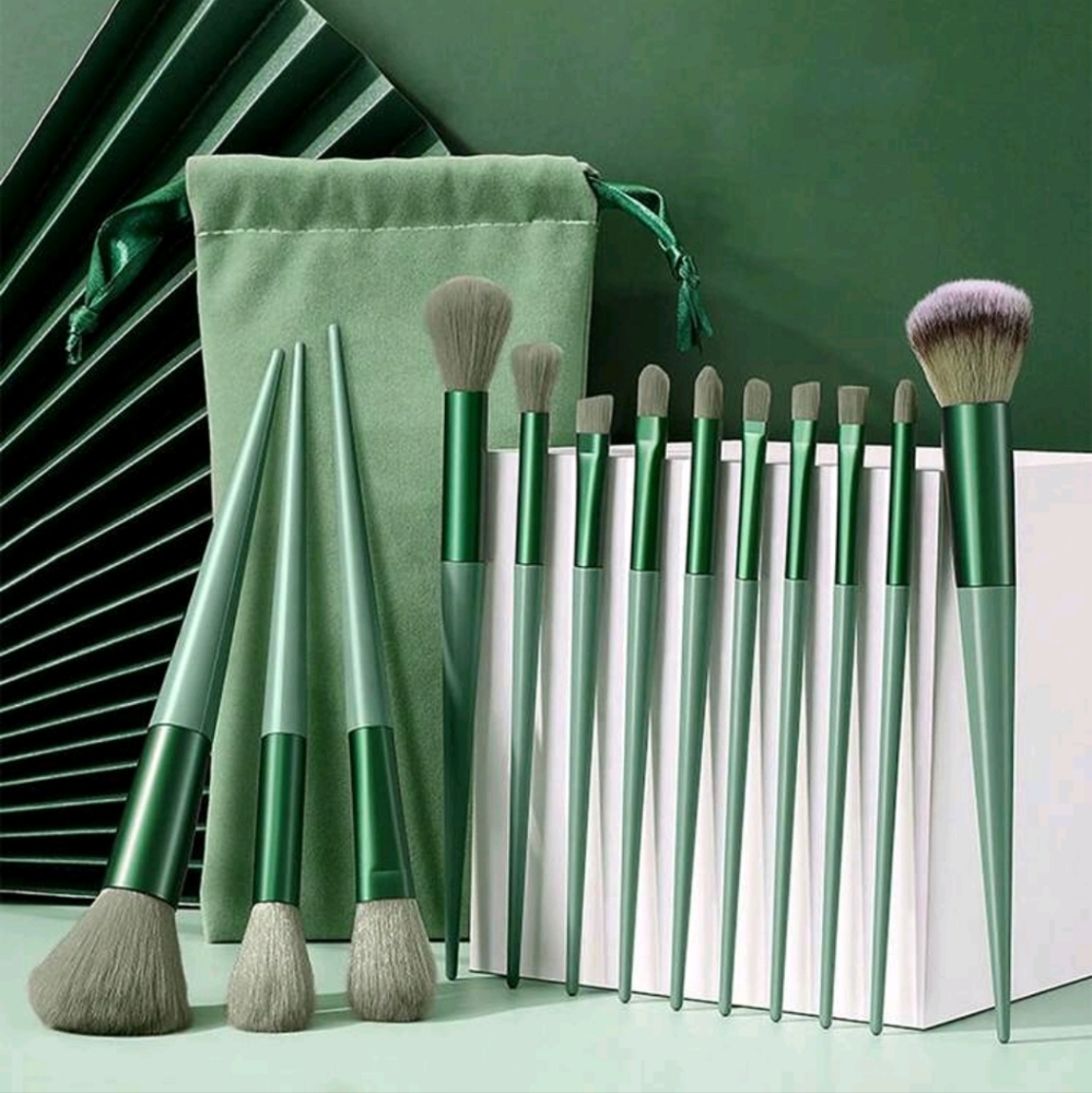 Makeup Brush Set NWT